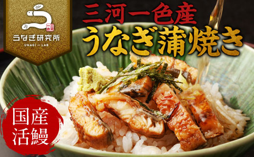 【2026年3・4月限定価格】三河一色産うなぎ蒲焼 きざみうなぎ 4個(計280g以上)・R010-16