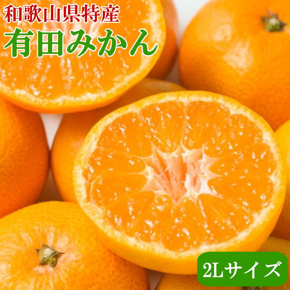 [秀品]和歌山有田みかん　9kg(2Lサイズ) ※2026年11月中旬～2027年1月中旬頃順次発送【tec831B】