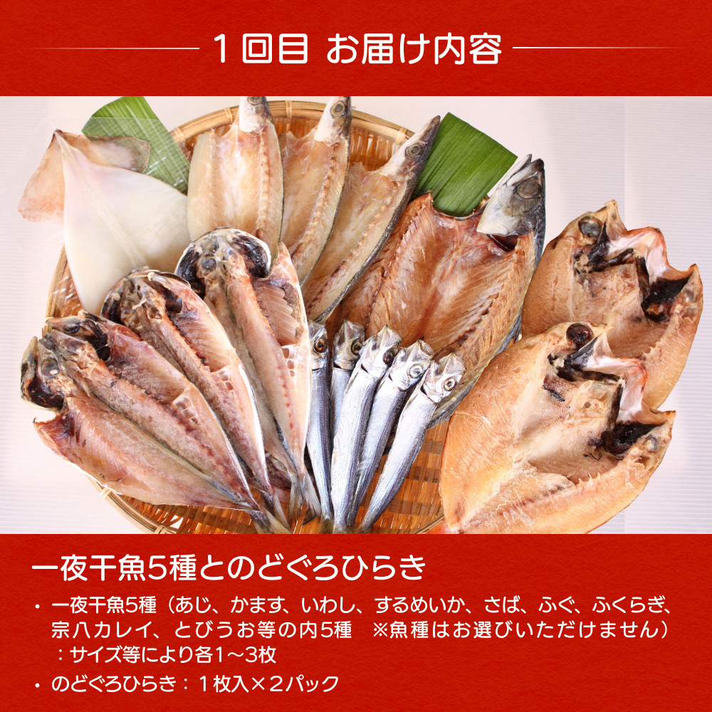 【４ヶ月隔月お届け】氷見堀与 一夜干・昆布〆刺身・海の幸詰合＜氷見鰤・蛍いか・のどぐろ入り＞  