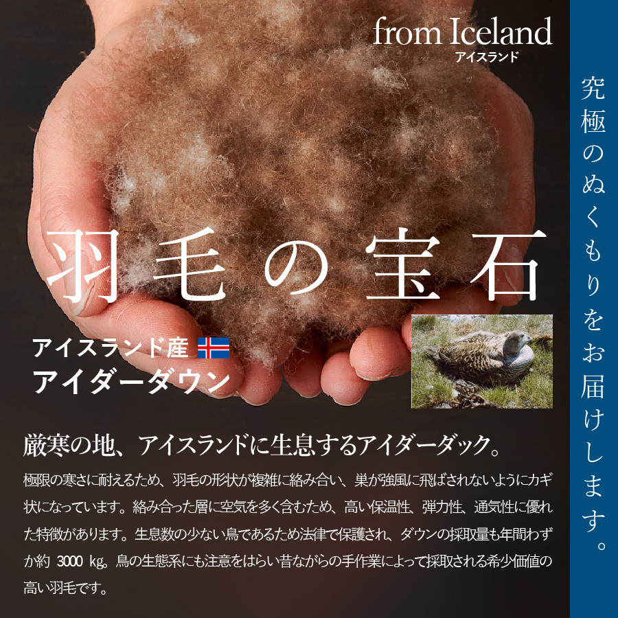 【甲州羽毛ふとん】肌掛けシルクジャガード手選別アイダーダウン（クイーン） 羽毛ふとん 掛け布団 シルクジャガード 肌掛け 布団 アイダーダウン 山梨 富士吉田