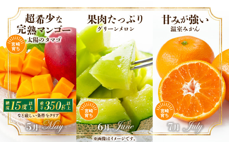 《2026年発送先行予約》特選南国くだもの7ヶ月定期便 フルーツ定期便 果物定期便 定期便 定期 旬のフルーツ 旬の果物 果物 フルーツ デザート 旬 厳選 いちご イチゴ 苺 金柑 きんかん 金柑たまたま せとか 柑橘 柑橘系 日向夏 マンゴー 宮崎マンゴー メロン みかん ミカン 期間限定 数量限定 贈り物 ギフト 贈答 ご褒美 グルメ 宮崎県 宮崎市 宮崎 _M348-T006