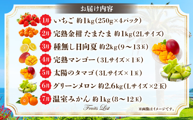 《2026年発送先行予約》特選南国くだもの7ヶ月定期便 フルーツ定期便 果物定期便 定期便 定期 旬のフルーツ 旬の果物 果物 フルーツ デザート 旬 厳選 いちご イチゴ 苺 金柑 きんかん 金柑たまたま せとか 柑橘 柑橘系 日向夏 マンゴー 宮崎マンゴー メロン みかん ミカン 期間限定 数量限定 贈り物 ギフト 贈答 ご褒美 グルメ 宮崎県 宮崎市 宮崎 _M348-T006