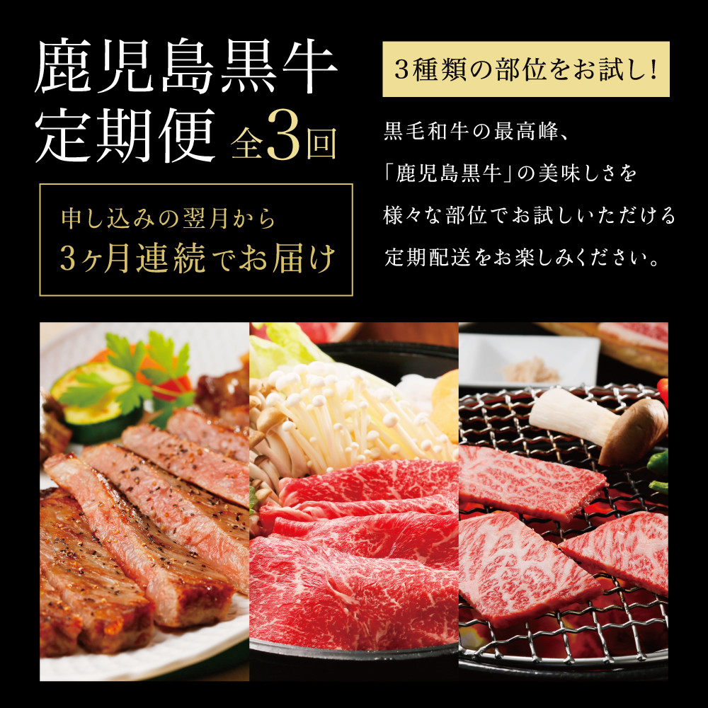 【JA食肉かごしま】鹿児島黒牛 お試し定期便(全3回) 和牛日本一の「鹿児島黒牛」お肉 ステーキ すき焼き しゃぶしゃぶ 黒毛和牛 牛肉 冷凍 定期便 南さつま市