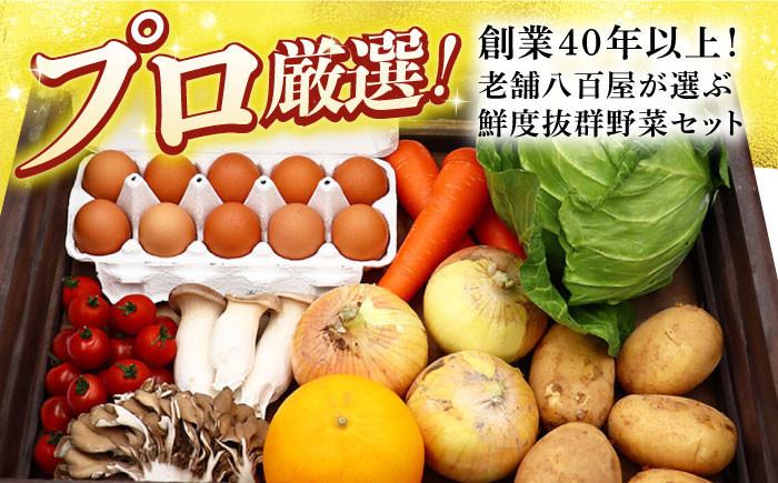 【全6回定期便・奇数月のみお届け】 卵付き野菜セット 野菜 果物 キノコ 8品目 ブランド卵10個 詰め合わせ 少人数世帯向け レギュラーサイズ 長崎県/吉岡青果 [42ACAF007] フルーツ キノコ 新鮮 セット 詰め合わせ 詰合せ 定期便 産地 直送 国産 季節の野菜 ひとりぐらし 一人 ふたりぐらし 二人 太陽たまご 太陽卵 たまご 玉子 野菜の定期便 野菜詰め合わせ