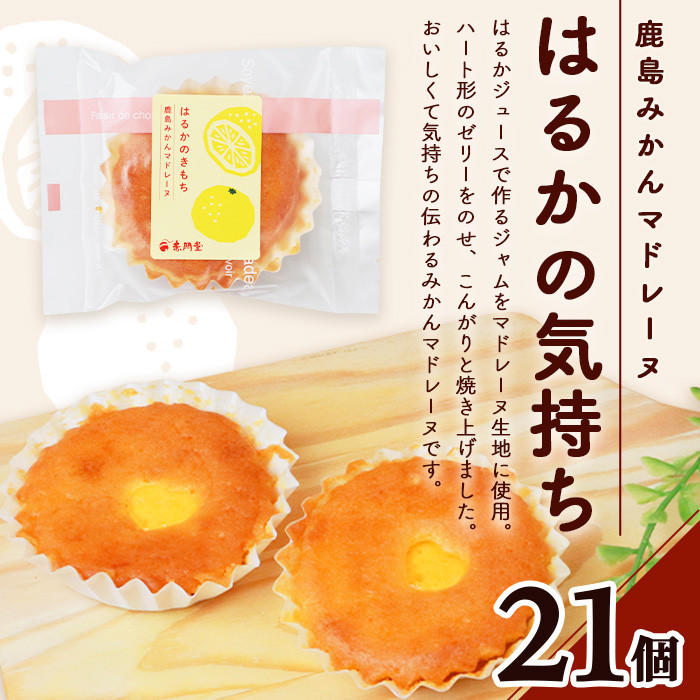 【赤門堂の焼菓子】はるかのきもち 21個 マドレーヌ 焼き菓子 焼菓子 お菓子 郷土菓子 ご当地スイーツ 焼き菓子 焼菓子 贈物 プレゼント ギフト 贈り物 お土産 おやつ B-641