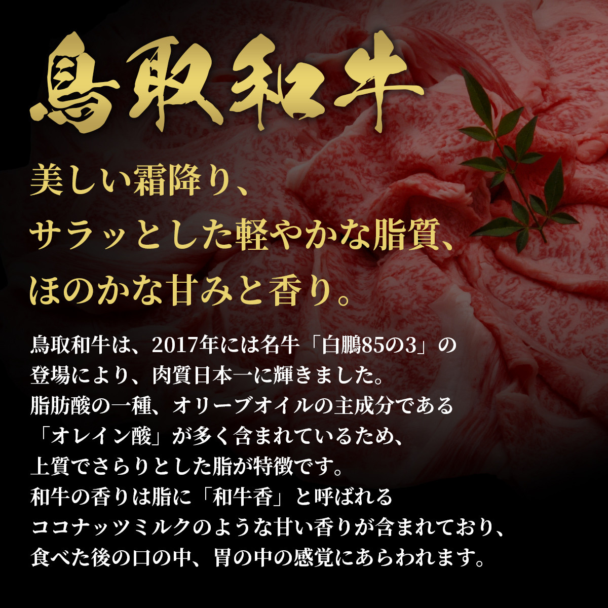 【和牛セレブ】鳥取和牛半頭分(12分割配送)