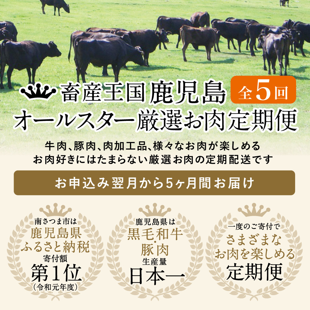 【お試し版】オールスター厳選お肉定期便(全5回) 牛肉 豚肉 すき焼き しゃぶしゃぶ 赤身 焼肉 冷凍 定期便 鹿児島 南さつま市