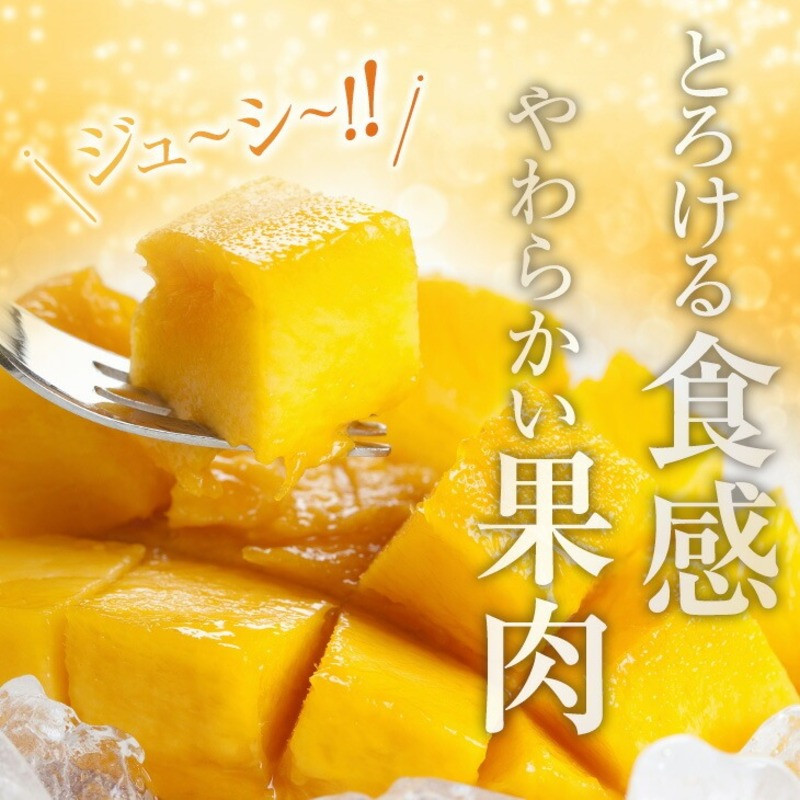 訳あり 宮崎県産 完熟マンゴー 約2.8kg 期間限定 数量限定 フルーツ 果物 くだもの 国産 食品 デザート おやつ フルーツサンド おすすめ ご褒美 贅沢 産地直送 傷 規格外 訳アリ おすそ分け 家庭用 冷蔵 宮崎県 日南市 送料無料_F77-24