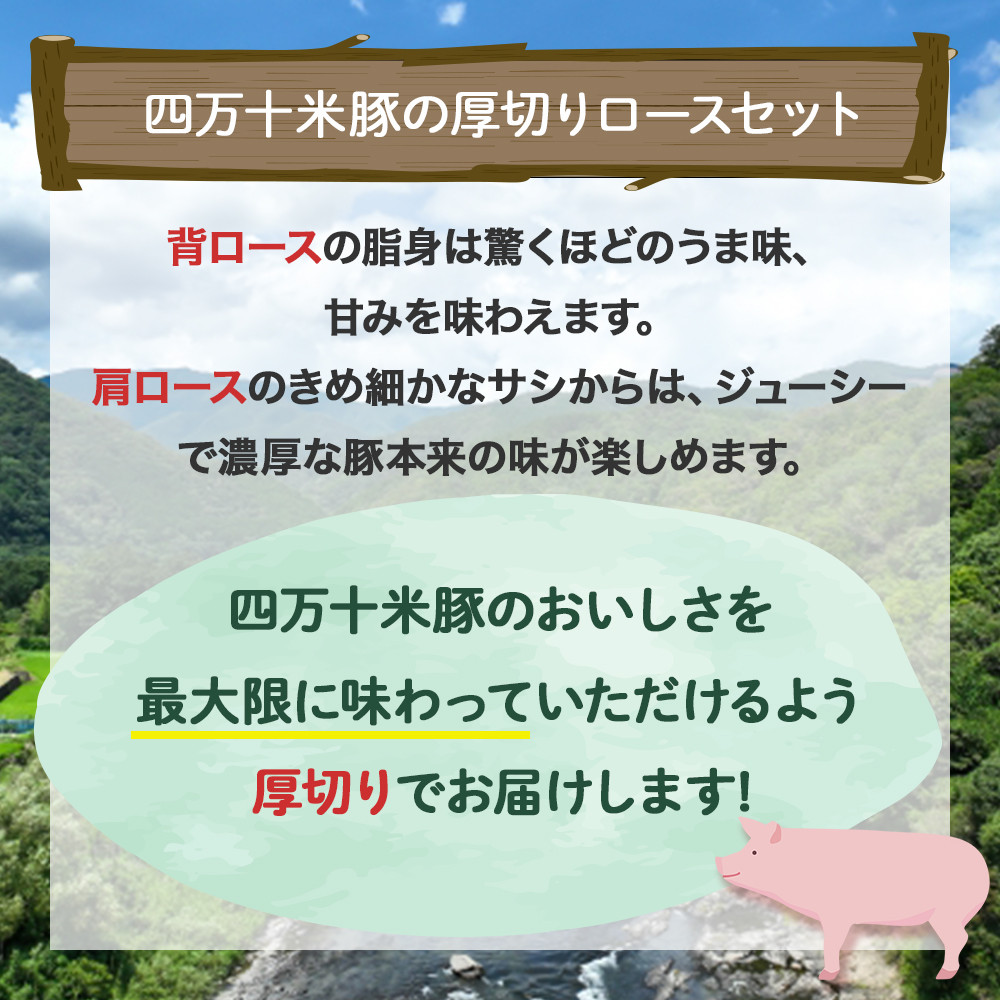 【大人気返礼品】しまんと米豚の厚切りロースセット （150g×6枚）Qjs-04 米豚 ぶた肉 豚肉 国産豚肉 国産ぶた肉 豚ロース 冷凍豚