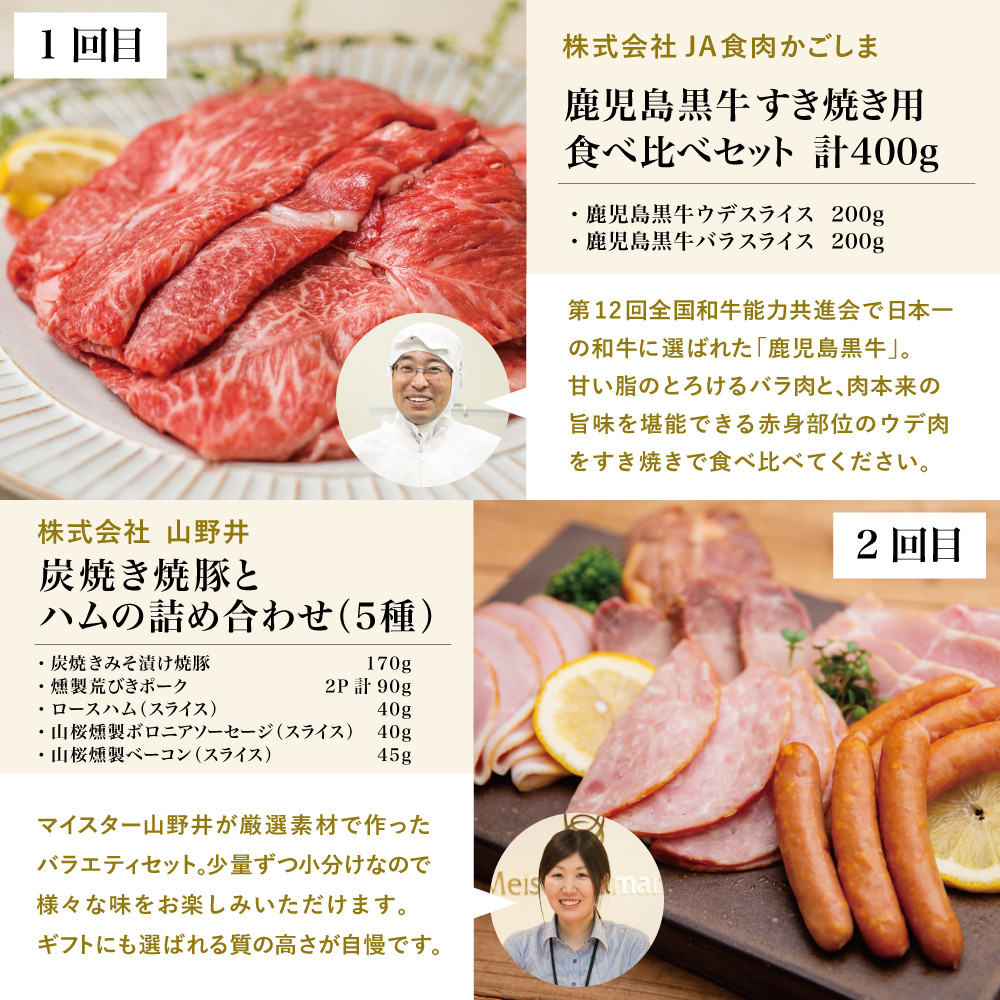 【お試し版】オールスター厳選お肉定期便(全5回) 牛肉 豚肉 すき焼き しゃぶしゃぶ 赤身 焼肉 冷凍 定期便 鹿児島 南さつま市