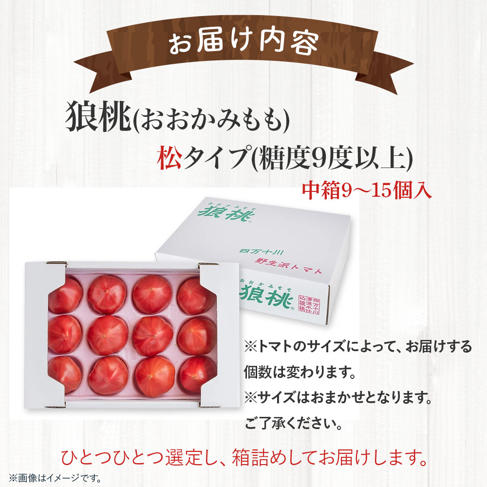 【先行予約／2026年3月中旬から発送】四万十育ち「狼桃」 糖度9度以上　松タイプ 中箱（9～15個入） Fdf-10 フルーツトマト トマト とまと 野菜 数量限定 期間限定 数量限定