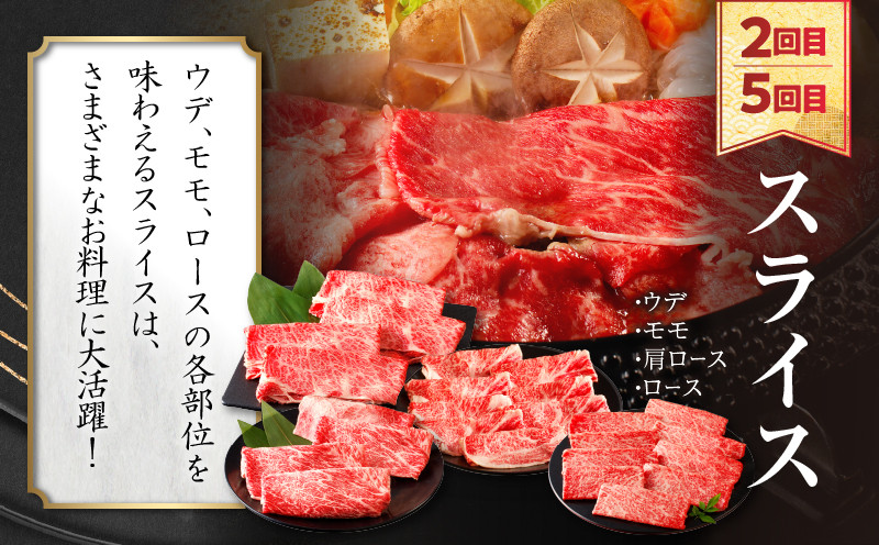 【10月末で受付終了!!】≪6か月定期便≫夢の宮崎牛食べつくしセット(総重量6kg) 肉 牛 牛肉 おかず 国産_T030-1433