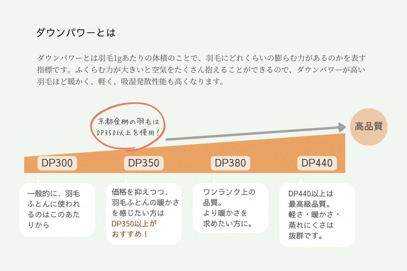 【ピンク】軽くて暖かい、ふかふか羽毛布団 本掛けタイプ 1枚お届け シングルサイズ 綿100％【ふとん 布団 寝具 国産 日本製 羽毛ふとん 羽毛ぶとん 株式会社京都金桝 ハンガリーシルバーグースダウン93％使用 重量1.3kg DP380 2層キルト ジラーフ 京都亀岡産羽毛布団 ふるさと納税羽毛布団 人気羽毛布団 国産羽毛布団 日本製羽毛布団 亀岡産羽毛布団 掛け布団 新生活】