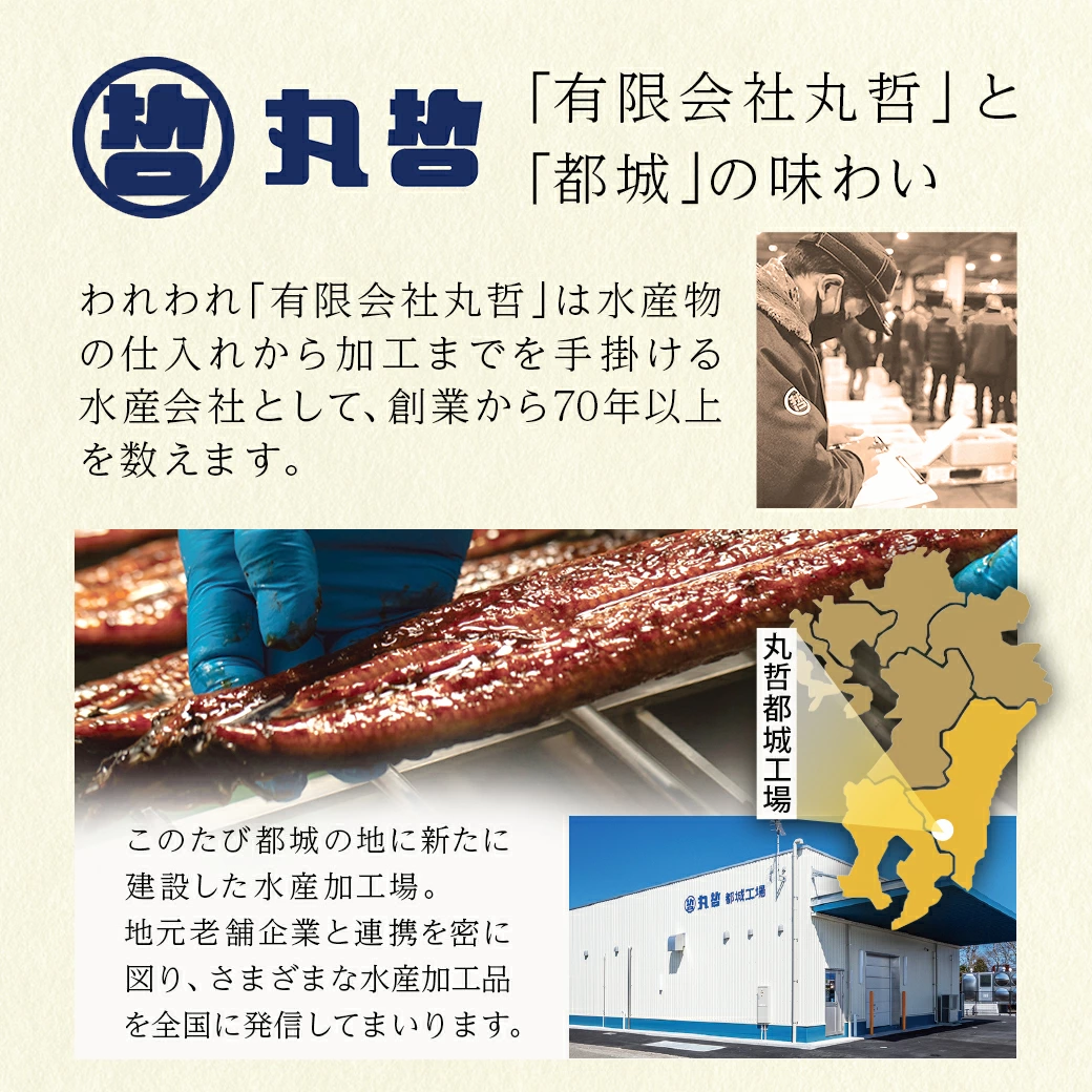 【父の日】宮崎県育ちの【特大】うなぎ蒲焼2尾440g以上≪山椒・たれ付≫≪6月18日～21日お届け≫_18-M301-FG_(都城市) 特大うなぎ蒲焼(有頭) 宮崎県産 真空 山椒・たれ付 父の日 ギフト