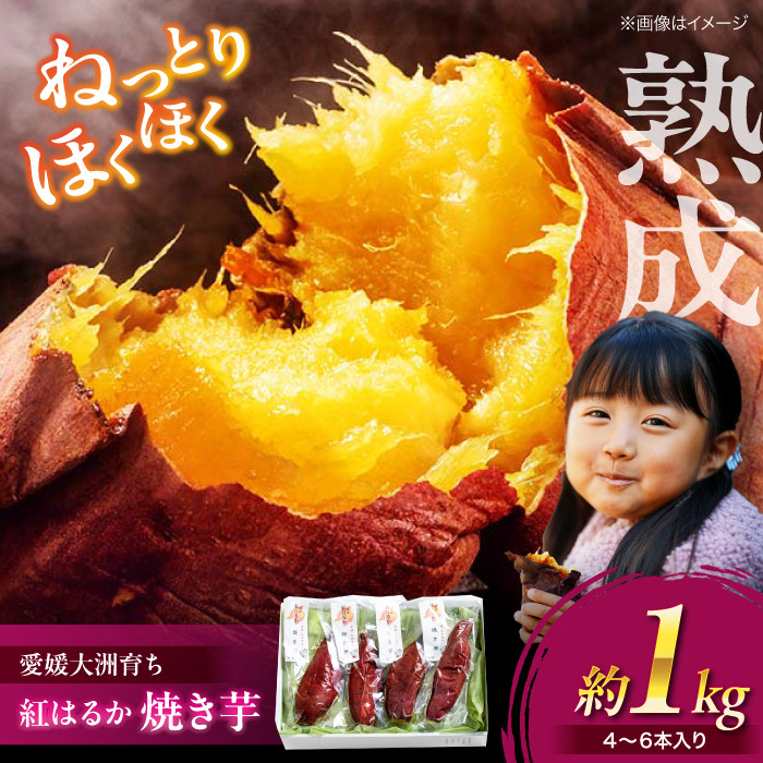 焼き芋 熟成 紅はるか 1kg（4から6本入り） やきいも 冷やし焼き芋 焼いも 焼芋 スイーツ デザート おやつ 和スイーツ 和菓子 ねっとり ほくほく 甘い 美味しい おいしい しっとり 1キロ 個包装 小分け 愛媛県大洲市/(有)玉井民友商店 [AGBY007] いも 芋 イモ さつまいも サツマイモ 薩摩芋 さつま芋 野菜 愛媛県産 大洲市産 おすすめ 人気 お取り寄せ 送料無料