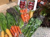 旬ないちごとおまかせ野菜詰合せ7品目セット_旬 いちご 250g おまかせ 野菜 詰合せ セット 食べ頃 6品目 玉ねぎ 人参 大根 カブ サニーレタス なす キュウリ トウモロコシ ヤングコーン ケール 赤水菜 パクチー ピーマン 赤大根 サトイモ さつまいも 新鮮 食品 お取り寄せ 福岡県 久留米市 送料無料_Gv021