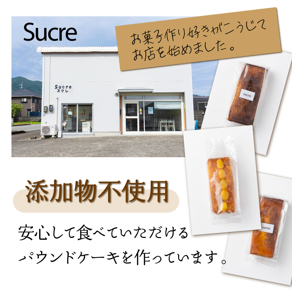 ドライフルーツとりんごの自家製パウンドケーキ 2本セット(約15cm)