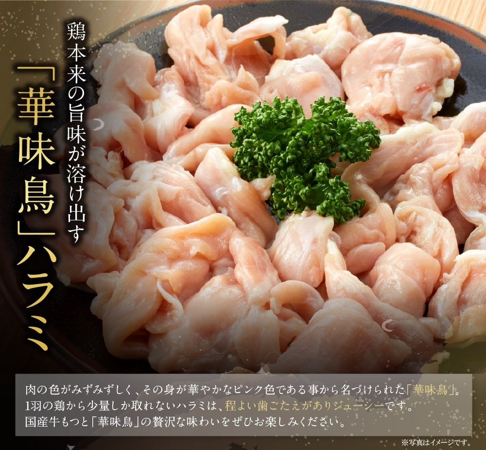 W10-55 博多華味鳥 もつ鍋セット 醤油味(3~4人前) もつ鍋 有名店 老舗 料亭の味 福岡 冷凍 ★レビューキャンペーン開催★