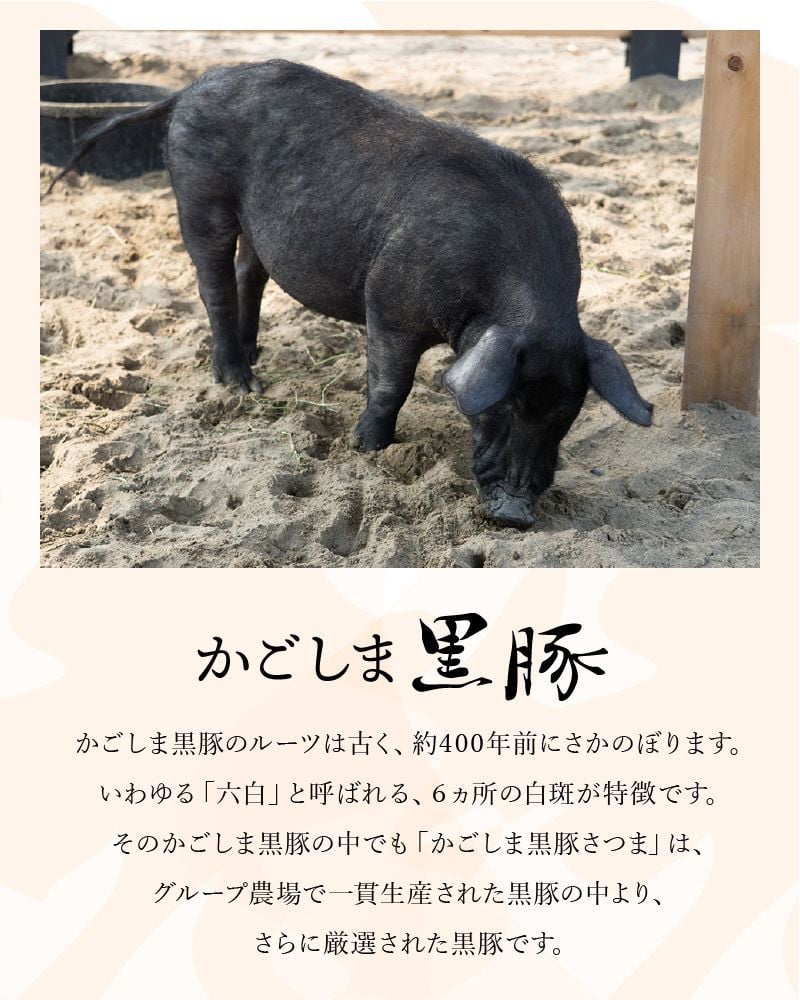 080-17 南九州市産かごしま黒豚さつま厚切りポークステーキ6枚