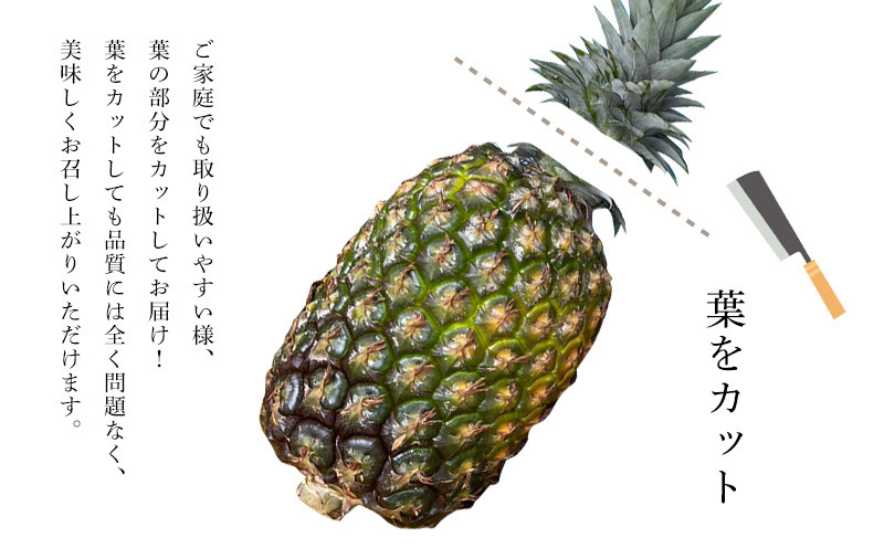 【規格外・家庭用】TARUGO ゴールドバレルパイン約2kg(1玉)2026年発送 家庭用 パイン パインアップル パイナップル タルゴ タルゴゴールド ゴールドバレル 葉ナシ ご自宅用 訳あり 国産パイン 規格外 生産者応援 農家応援 高級フルーツ 大玉 国産 やんばる 沖縄 東村