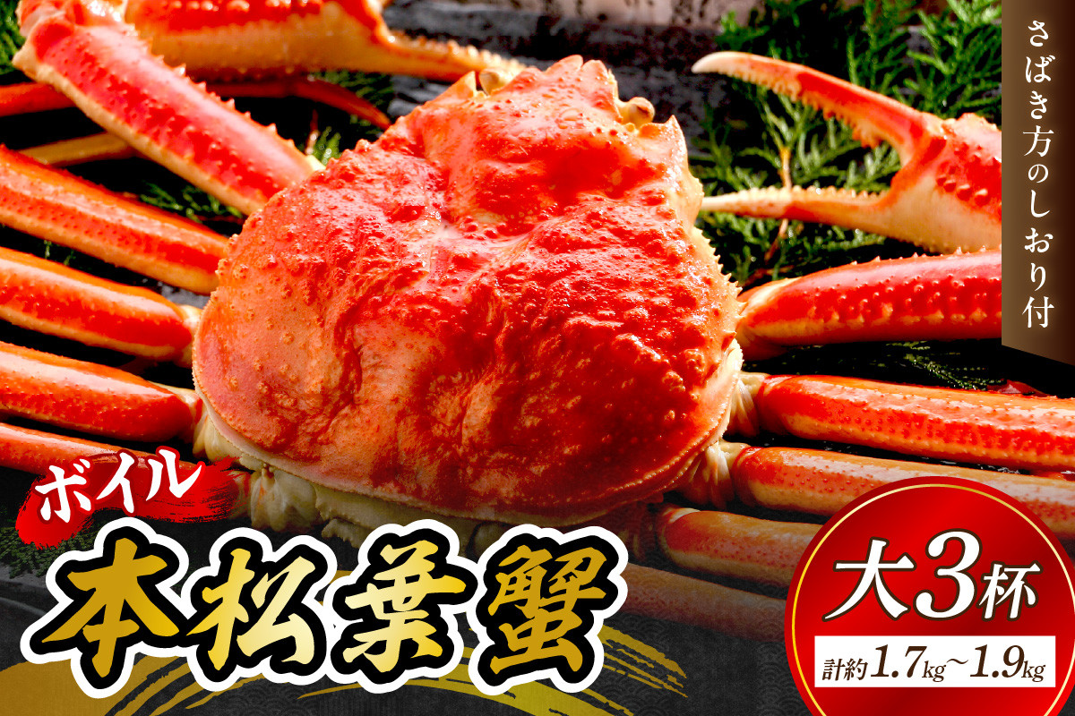 【 国産日本海の松葉蟹をボイルでお届け! 】【先行予約】 ボイルでお届け。ボイル本松葉蟹 大3杯(タグ付き)Bセット<12月10日~2月末までのお届け> カニ 魚介類 海の幸 カニ 年内配送 年末年始配送 【097_0728】
