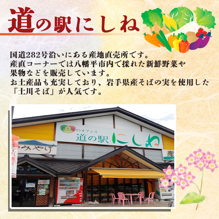 【八幡平市】 オリジナルポロシャツ ネイビー ( Sサイズ ) / ポロシャツ 半袖 シャツ 襟付きシャツ 襟付き 男女兼用 オリジナル ファッション 半そで ポケット付き 胸ポケット 男性 女性 衣類 大人 メンズ レディース ぽろしゃつ おすすめ オススメ 【道の駅 にしね】