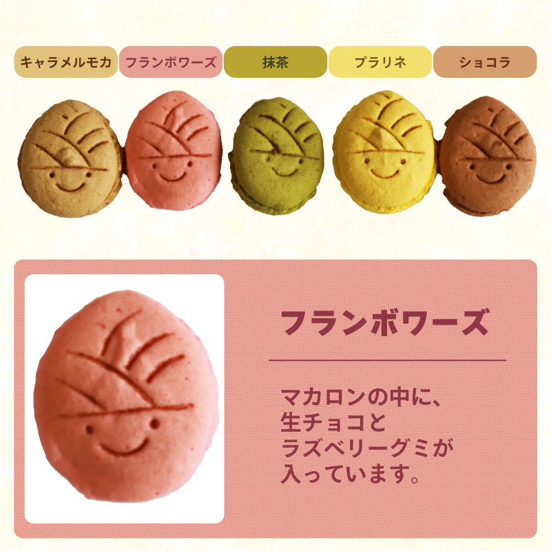 タケノコ戦隊マカロンジャー マカロン 5色 2箱 化粧箱入り デザート スイーツ 焼き菓子 たけのこ タケノコ たけのこマカロン ご当地 京都 長岡京 長岡京市