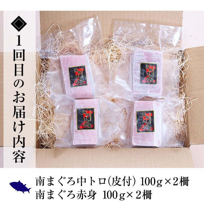 【3か月定期便】極上天然南まぐろ贅沢コース まぐろ マグロ 大トロ 中トロ 赤身 冷凍 小分け【E-164H】