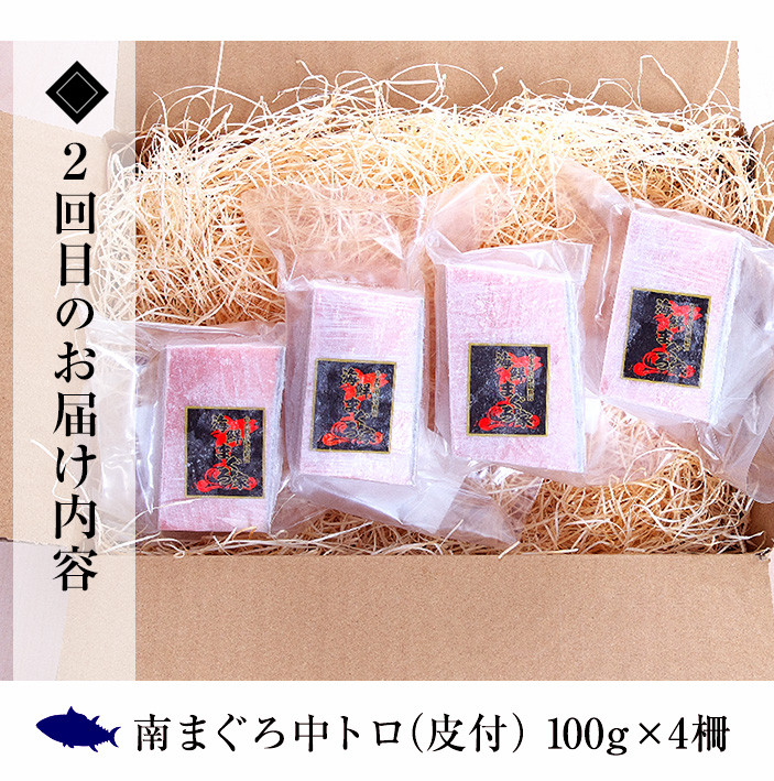 【3か月定期便】極上天然南まぐろ贅沢コース まぐろ マグロ 大トロ 中トロ 赤身 冷凍 小分け【E-164H】