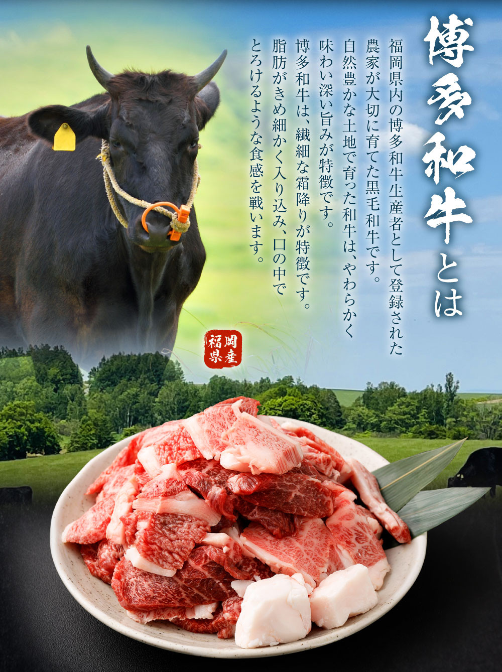 博多和牛 焼肉 切落し ミックス 500g×4パック 計約2kg 肉 牛肉 お肉 モモ ウデ バラ 切り落とし