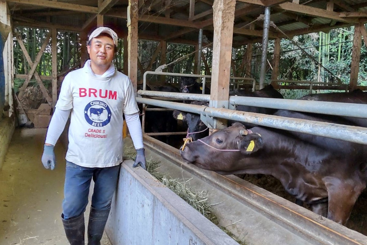 <なかむら謹製>【博多和牛】黒毛和牛肩ロースすき焼き用うす切り800g【E-084】 肉 牛肉 牛肉 国産 和牛 黒毛和牛 博多和牛 すき焼き 肩ロース ロース 800グラム