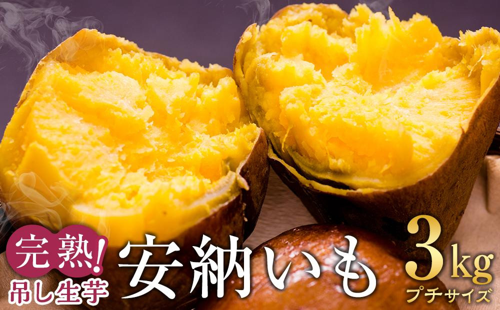 完熟吊し生芋　安納いも3kg（プチサイズ）【安納芋 安納いも 焼き芋 焼芋 やきいも さつまいも さつま芋 生芋 完熟 熟成 蜜 しっとり 甘い 安納いも 国産 鹿児島県産 種子島産 中種子町 安納大地 送料無料 N159】