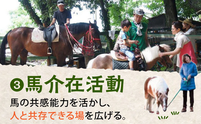 【幸せな第二の馬生を】引退競走馬支援 5,000円 【CLUB RIO】 支援 動物支援 動物保護 流鏑馬 返礼品なし [HBY003]