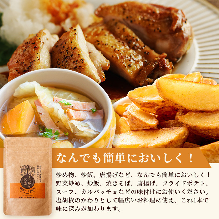 チャンプルの素 60g 袋入×2袋【 沖縄県 石垣市 石垣島 調味料 万能 石垣島産 】PN-5