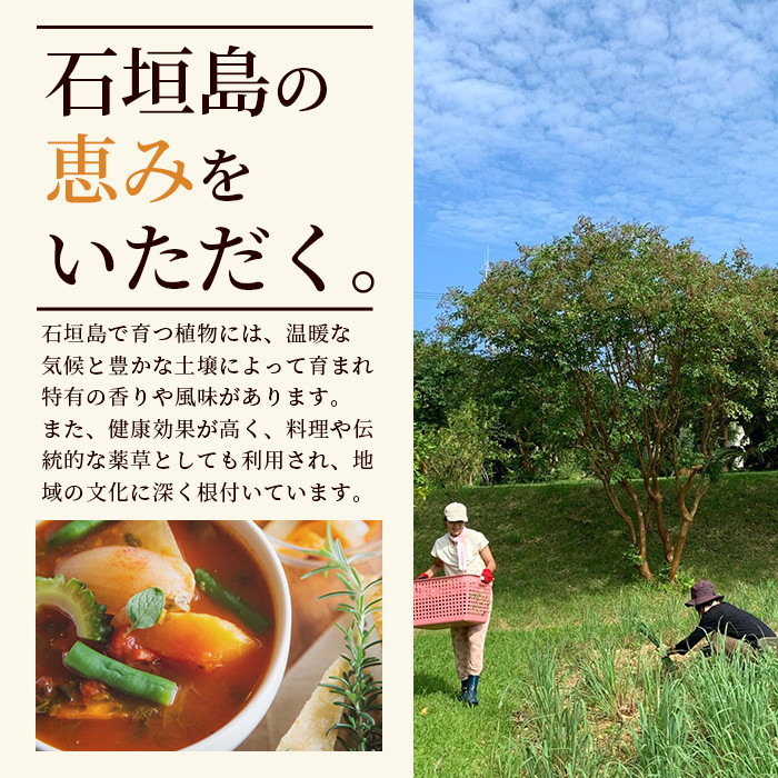 チャンプルの素 60g 袋入×2袋【 沖縄県 石垣市 石垣島 調味料 万能 石垣島産 】PN-5