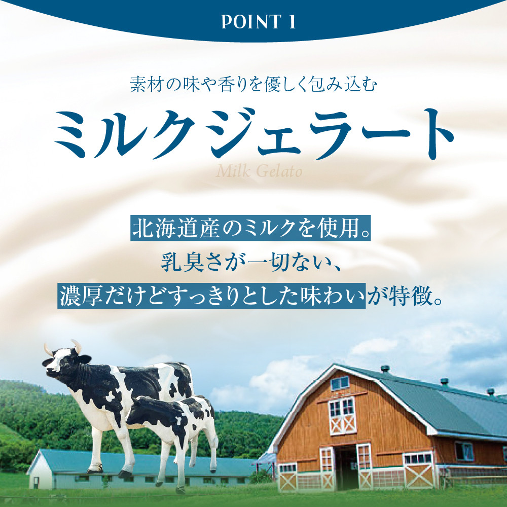 《 札幌市ふるさと納税 限定 フレーバー入り 》 ジェラート 12個 セット 食べ比べ ショコラ ティラミス マンゴー ブルーベリー つぶあん 生チョコ 北海道産 じゃがいも ミルク 蜂蜜 レモン ヨーグルト スイーツ デザート お取り寄せ アソート 北海道 札幌市