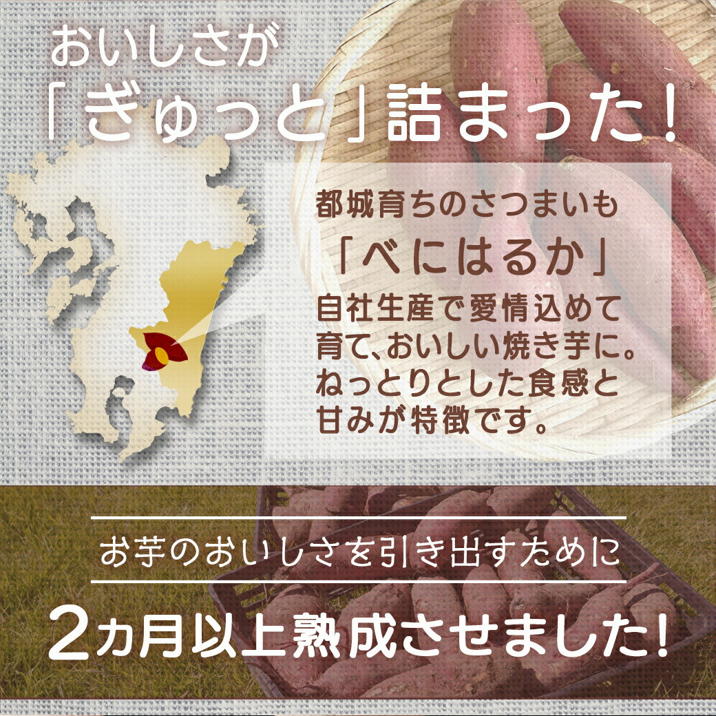 都城産べにはるか☆冷凍焼き芋☆500g×2袋_LE-3701_(都城市) ヘルシー スイーツ ひんやり やきいも 熟成 ねっとりとした甘み あったか焼き芋 冷やし焼き芋 冷凍配送 自然解凍 焼きいも