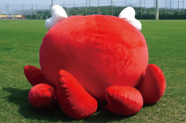 しかたこ特大ぬいぐるみ【鹿島アントラーズ グッズ サッカー エフシー ぬいぐるみ アイテム  茨城県 鹿嶋市】（KH-59）