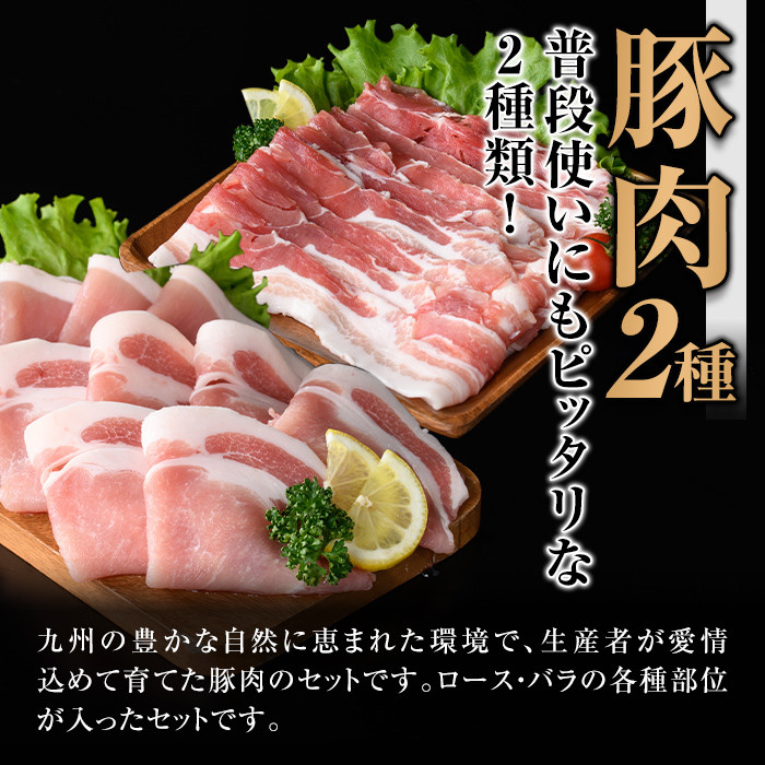 isa645 【定期便3回】九州産 豚肉2種セット (合計4.5kg・1.5kg×全3回)  バラスライス ロース 生姜焼き 真空包装 真空パック 小分け ぶたにく 豚 肉 詰合せ 詰め合わせ 冷凍 【サンキョーミート株式会社】