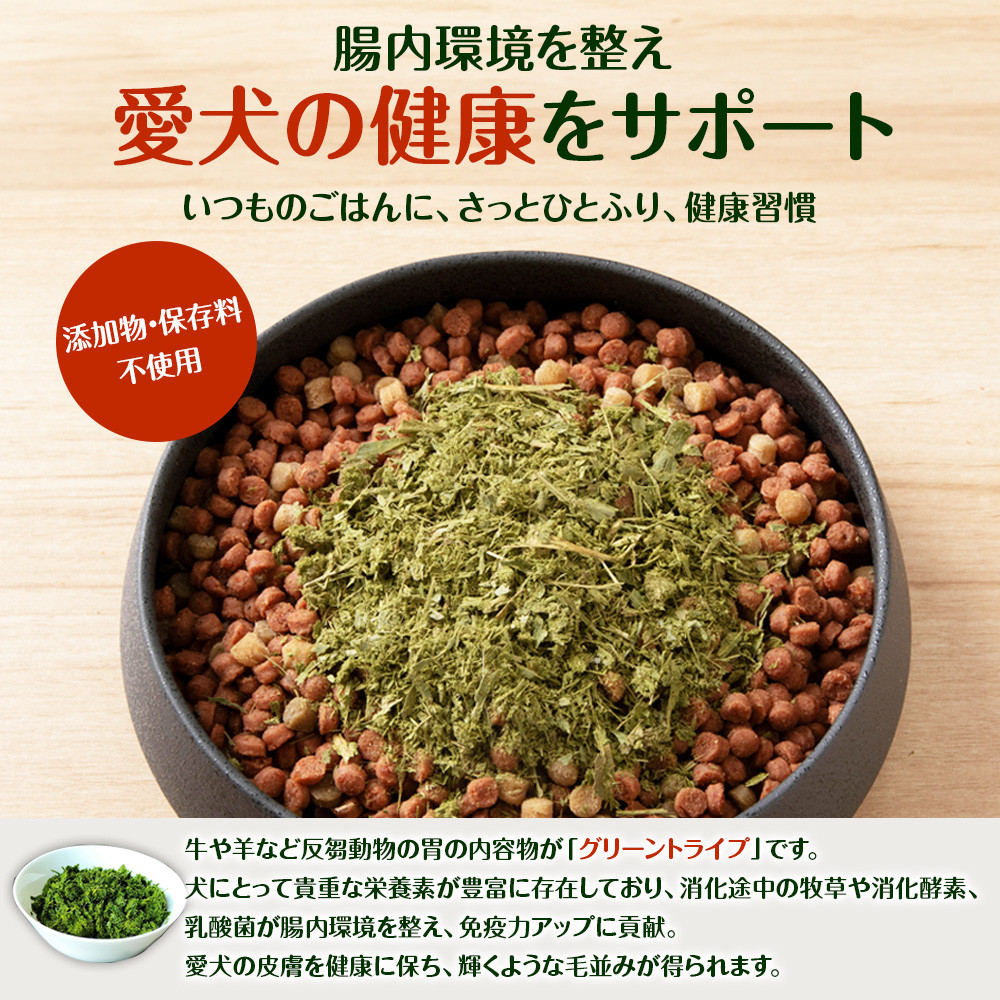 犬 おやつ 鹿肉 無添加 国産 乾燥グリーントライプ 40g (20g×2) 定期便12回 ペット 餌 エサ 浜頓別 北海道