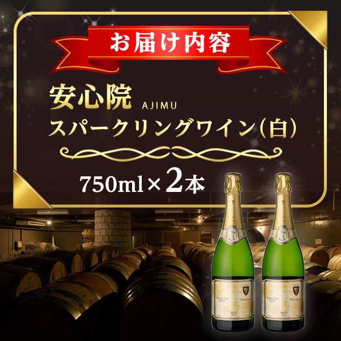 安心院スパークリングワイン 白(計1.5L・750ml×2本)酒 お酒 ワイン 白ワイン スパークリングワイン ぶどう 葡萄【107302602】【時枝酒店】