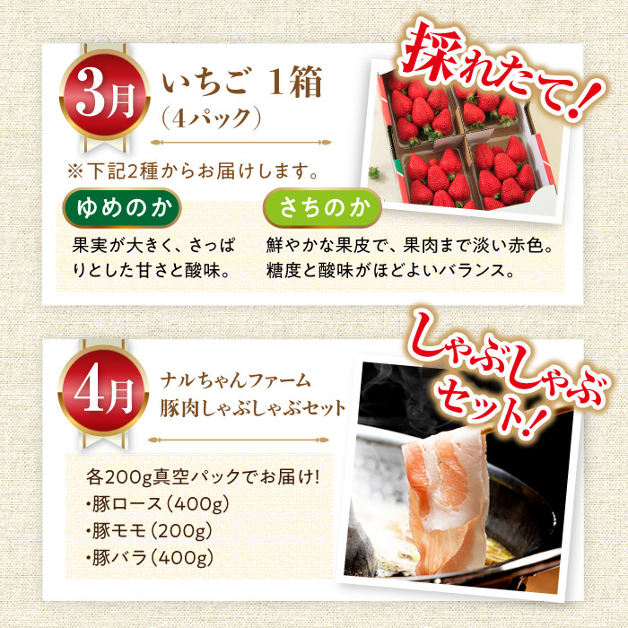 【12回定期便】豚肉＆旬の農産物 梨コース（ 豚肉 いちご 野菜 果物 ハム 梨 みかん ）/ 便利な定期便 バラエティ定期便 バラエティ / 大村市 / おおむら夢ファームシュシュ[ACAA125]