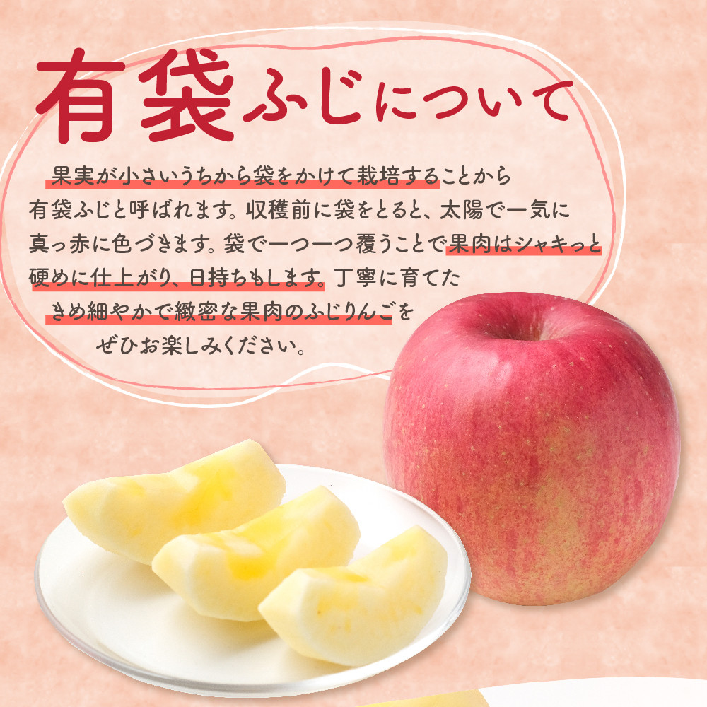 【2026年6月上旬発送】りんご有袋ふじ3kg特選(スマートフレッシュTM貯蔵またはCA貯蔵・クール便)