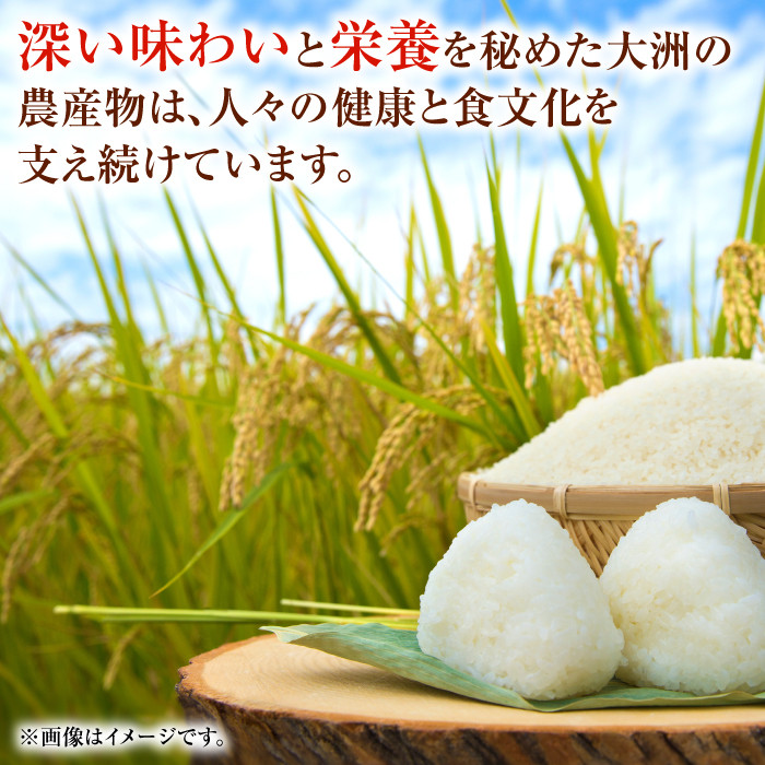 白米【11月中旬から順次発送】にこまる（ 精米 ） 5kg 大洲市/たいき産直市愛たい菜 [AGAP005]おこめ 米 お米 精米 白米 5kg 白ご飯 ごはん 食材 宅配 和食 日本食 ライス 美味しい おいしい 国産 おにぎり おむすび 炊き込みご飯 食品 ストック 備蓄 一人暮らし 二人暮らし にこまる 愛媛県産 大洲市産 産地直送 おすすめ 人気 お取り寄せ 贈答 ギフト