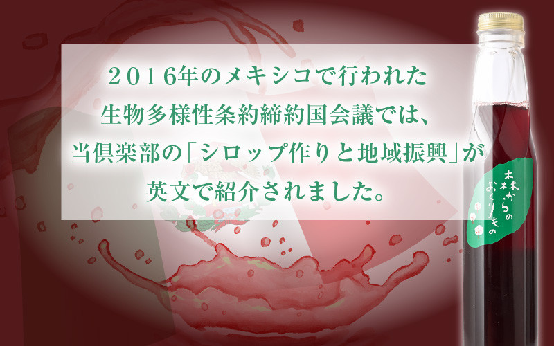 木の実のシロップ（ガマズミ）5本セット【 がまずみ 木の実 フルーツ 果汁 シロップ ソース 酵母菌 発酵食品 美容 健康 アントシアニン ポリフェノール 栽培期間中 農薬不使用 】 [m47-a004]