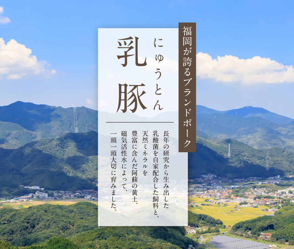 乳豚 ステーキ6枚【A7-040】 肉 豚肉 ロース ステーキ肉 ステーキ ブランド豚