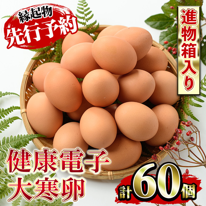 【先行予約】数量・期間限定!2026年の健康電子大寒卵(だいかんたまご)(50個+割れ保障10個)国産 鹿児島県産 鶏卵 1パック10個入 大寒たまご【A-1954H】