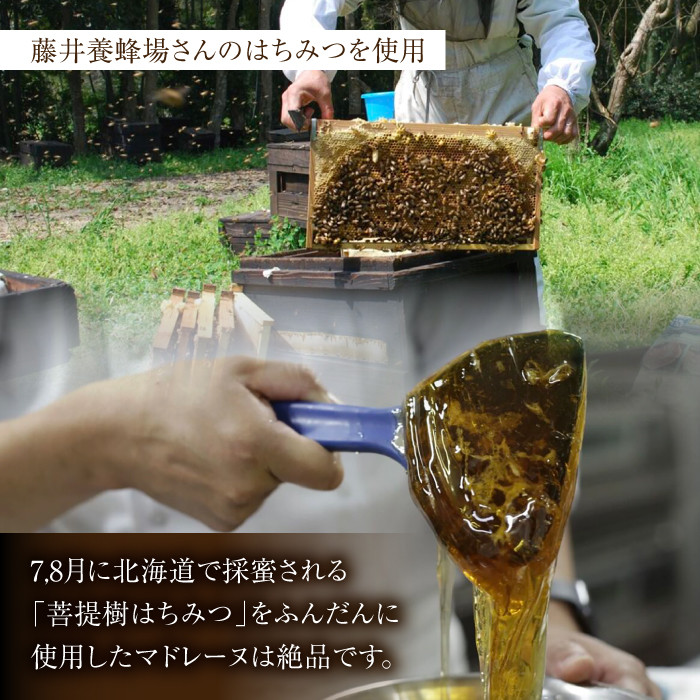 【菩提樹はちみつ使用】はにマド 10個セット /菓子職人の丘デタント [UEG005]