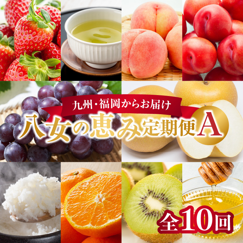 九州・福岡からお届け!八女の恵み定期便【全10回】 A|<配送不可:北海道・沖縄・離島>