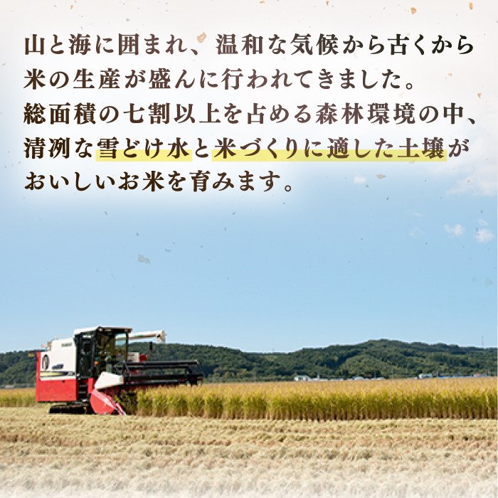 【玄米】【新米 令和7年産】【特A】 一等米 さくら米（ななつぼし）10kg《厚真町》【とまこまい広域農業協同組合】 米 お米 玄米 ご飯 ななつぼし 一等米 特A 北海道 [AXAB035]